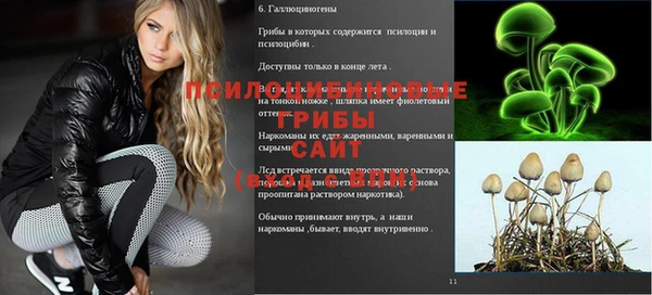 синтетический гашиш Арсеньев