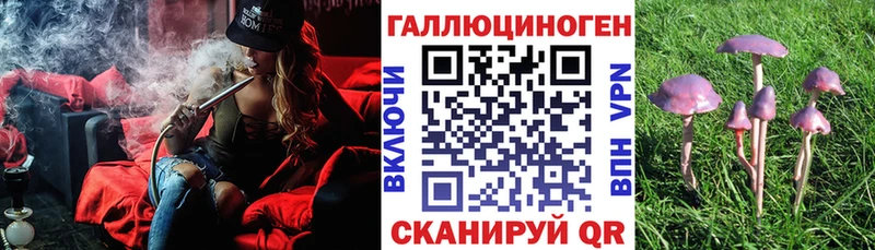 Купить где  Полысаево  Галлюциногенные грибы MAGIC MUSHROOMS 